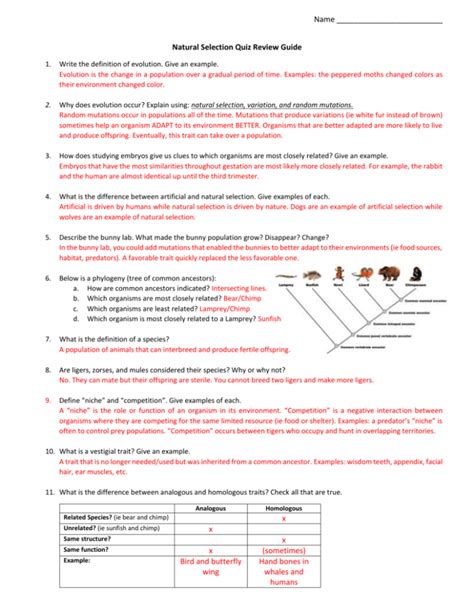 evolution by natural selection worksheet answers quizlet
